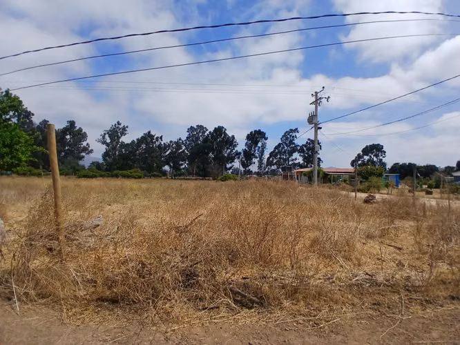 Se Vende Terreno plano de 5000 mt con rol a pasos de la Carretera.  Catapilco