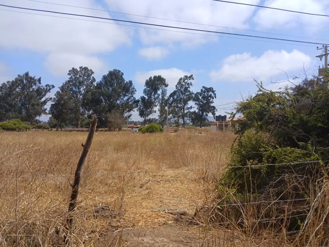 Se Vende Terreno plano de 5000 mt con rol a pasos de la Carretera.  Catapilco