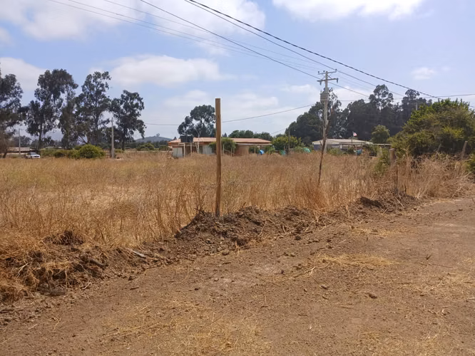 Se Vende Terreno plano de 5000 mt con rol a pasos de la Carretera.  Catapilco