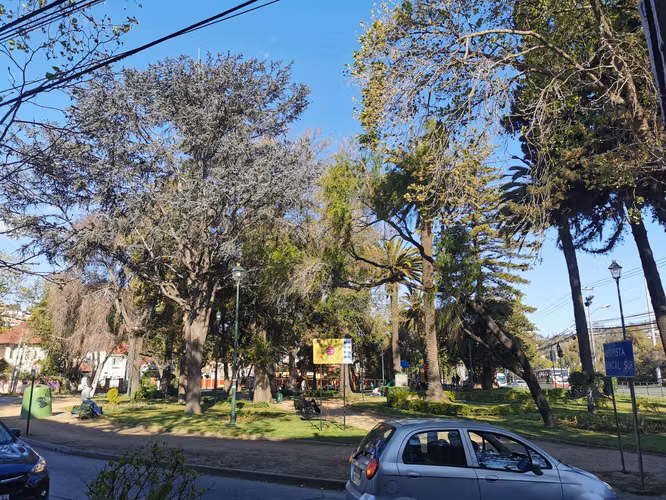 Se Arriendan Piezas Amplias Amobladas a Estudiantes Cerca de Universidades