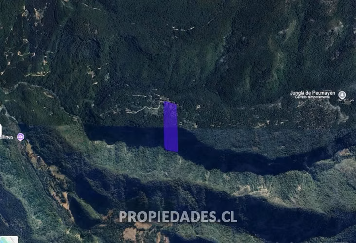 Parcela en venta en Coihueco