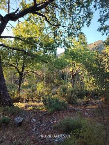 Agrícola en venta en Coihueco - Imagen 5