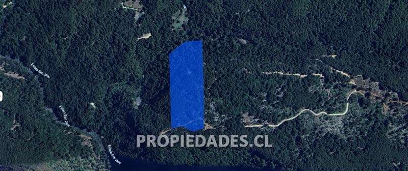 Agrícola en venta en Coihueco - Imagen 16