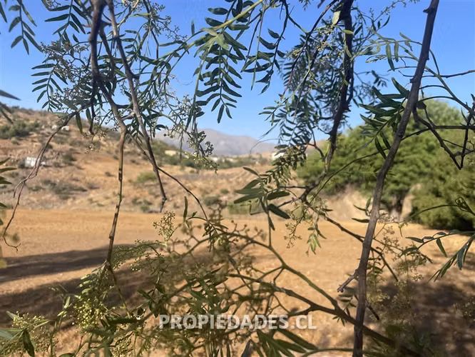 Sitio en Venta en Colina