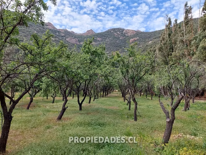 Agrícola en venta en San José de Maipo