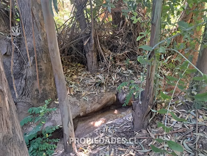 Sitio en venta en San José de Maipo