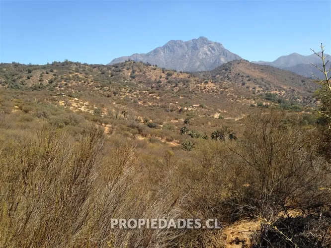 Parcela en venta en Hijuelas