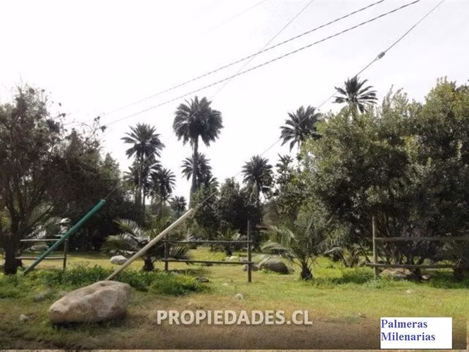 Parcela en venta en Hijuelas