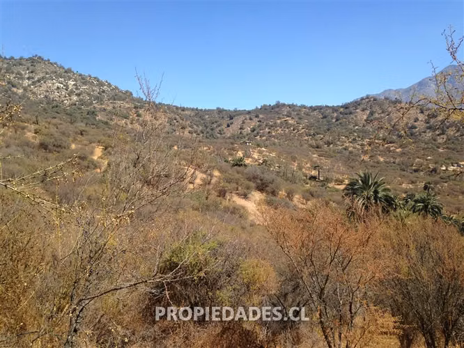 Parcela en venta en Hijuelas