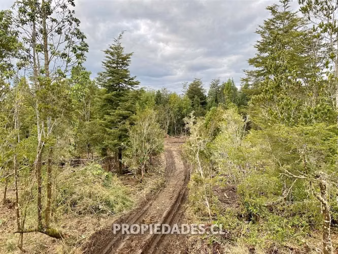 Sitio en Venta en Puerto Montt