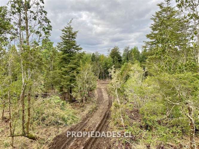 Sitio en Venta en Puerto Montt - Imagen 14