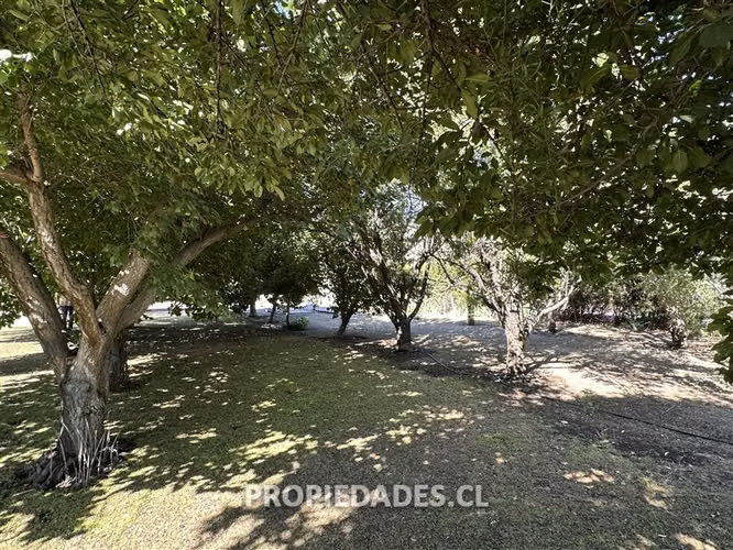 Parcela en venta en Tiltil