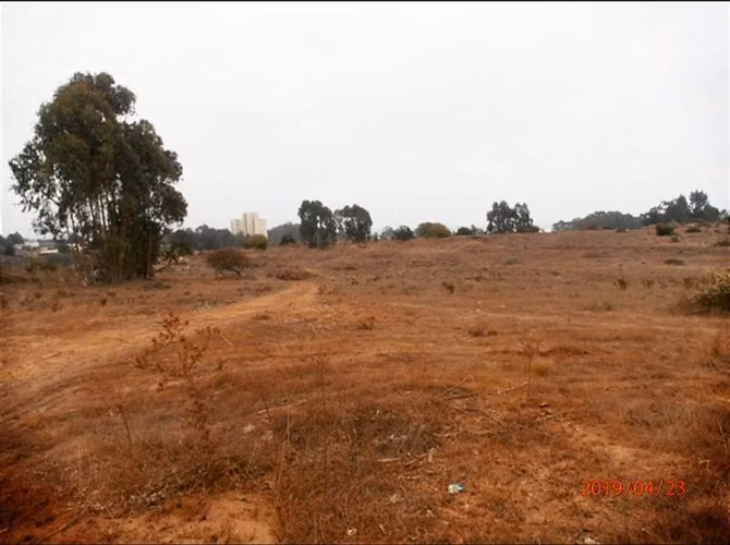 Terreno Construcción Venta en Algarrobo