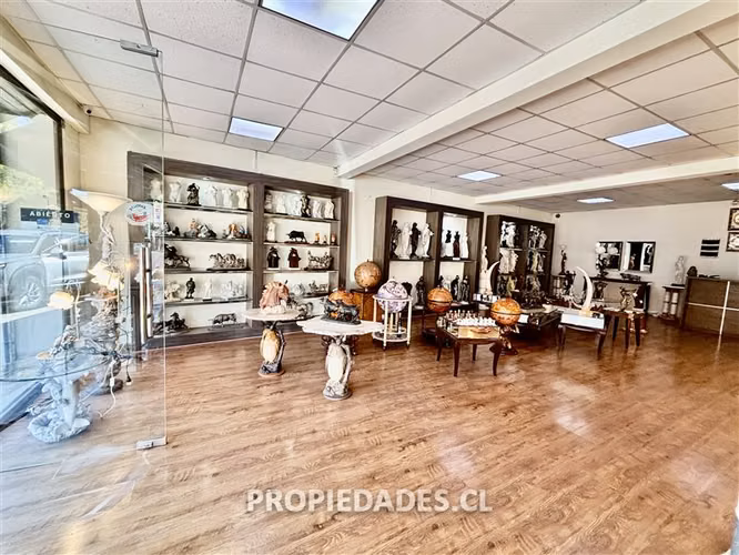 Local Comercial en venta en Santiago