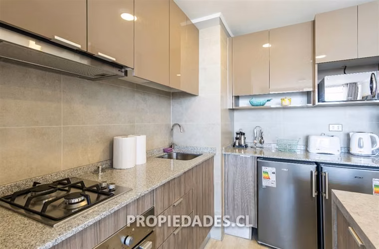 Hermoso departamento amoblado-Metro Ñuble