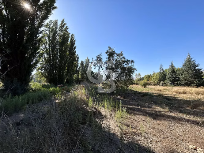 Sitio Alta Plusvalía Chicureo | Mall, Colegios y Autopista