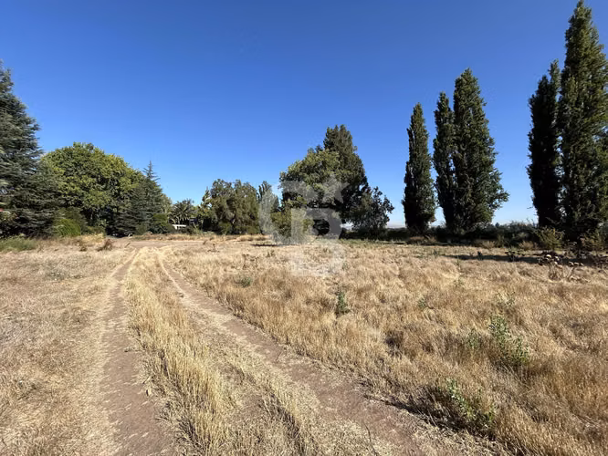 Sitio Alta Plusvalía Chicureo | Mall, Colegios y Autopista