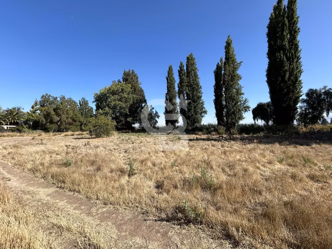 Sitio Alta Plusvalía Chicureo | Mall, Colegios y Autopista