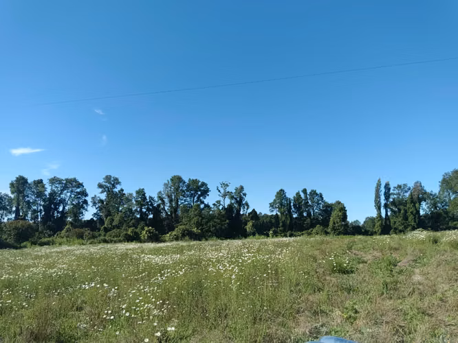 Venta de Parcela Coipué Alto Sector Aviación, comuna de Freire, Temuco.