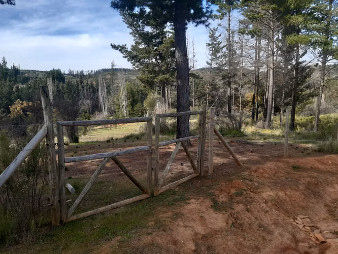 VENDO 12 HCTS  TERRENO  AGRICOLA  CAUQUENES