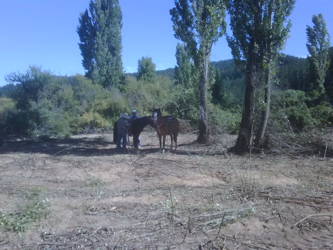 VENDO 12 HCTS  TERRENO  AGRICOLA  CAUQUENES