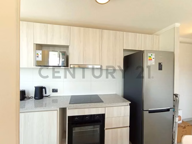 Arriendo departamento diciembre, Peñuelas