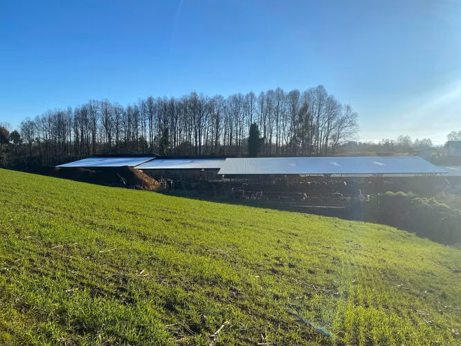 Hermoso Campo Agripoca Ganadero para Feedlot en Futrono