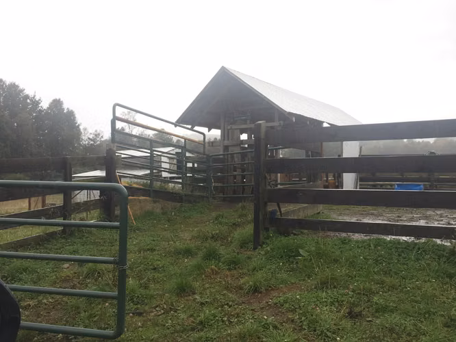Hermoso Campo Agripoca Ganadero para Feedlot en Futrono