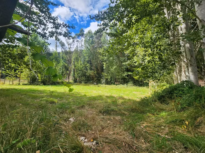 Acogedora Casa 2D 1B con Gran terreno 4000 m2 (151051)