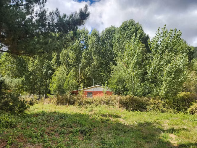 Acogedora Casa 2D 1B con Gran terreno 4000 m2 (151051)