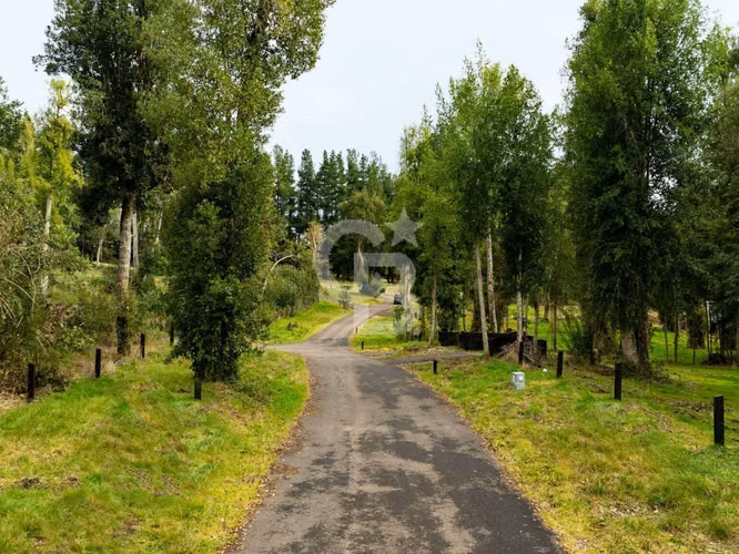 Exclusiva en Punta Larga Frutillar - Imagen 5