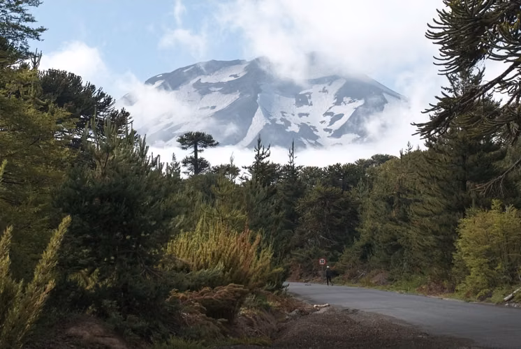 Vende parcelas de 5 mil mt2, con rol, en proyecto Refugio Lonquimay. Crédito directo.