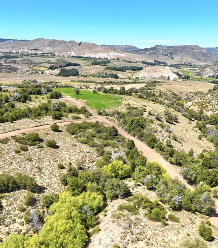 Vende parcelas de 5 mil mt2, con rol, en proyecto Refugio Lonquimay. Crédito directo.