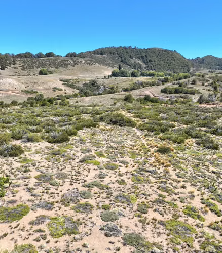 Vende parcelas de 5 mil mt2, con rol, en proyecto Refugio Lonquimay. Crédito directo.