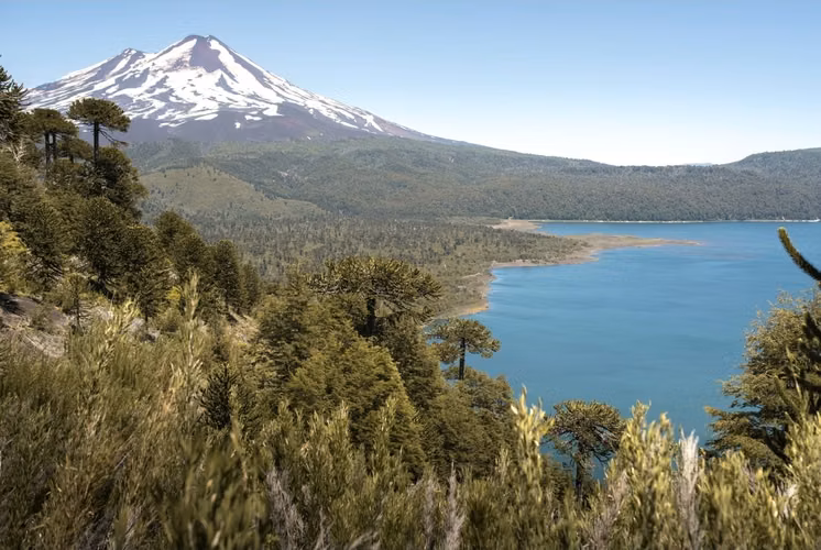 Vende parcelas de 5 mil mt2, con rol, en proyecto Refugio Lonquimay. Crédito directo.