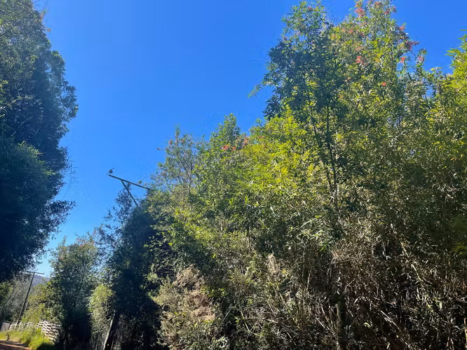 Vendemos Parcelas de 5.000m2 en Agua del Obispo, Valdivia
