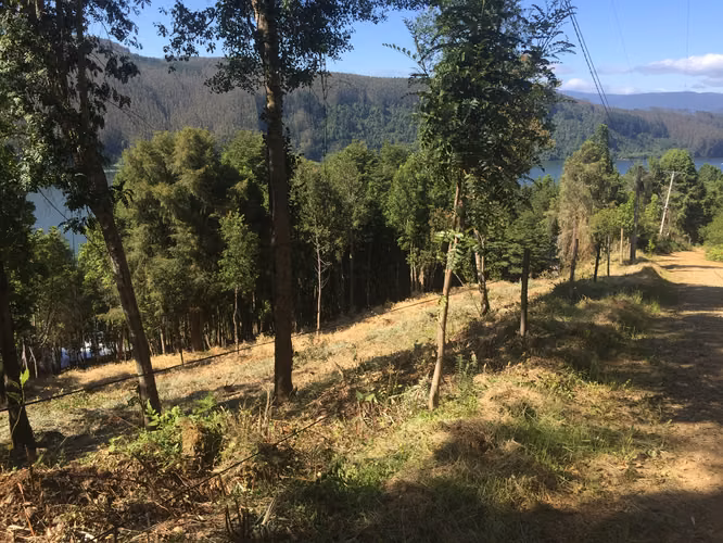 Vendemos Parcelas de 5.000m2 en Agua del Obispo, Valdivia