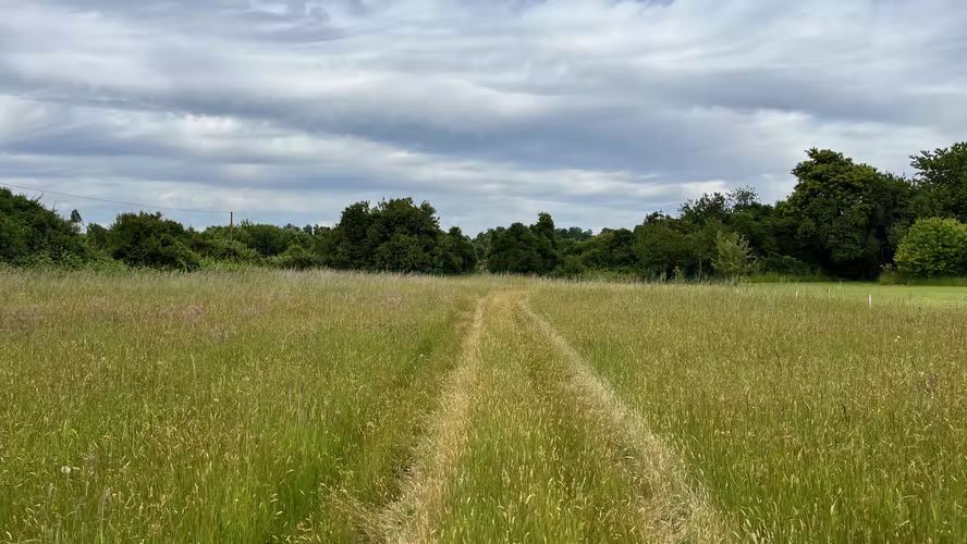 Hermosa Parcela en Tralcao con acceso al Río Pichoy