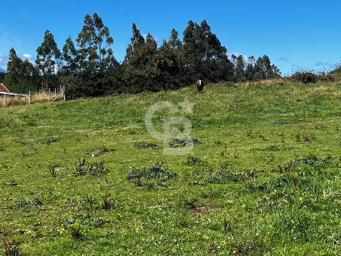 Parcela Urbana vista al lago y sus volcanes (no condominio) - Imagen 6