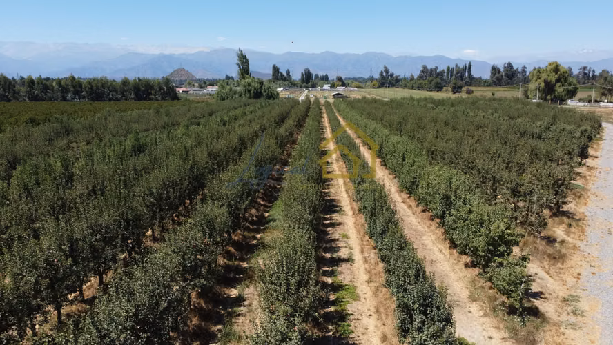 Venta de Parcelas Proyecto Los Cuatro Vientos
