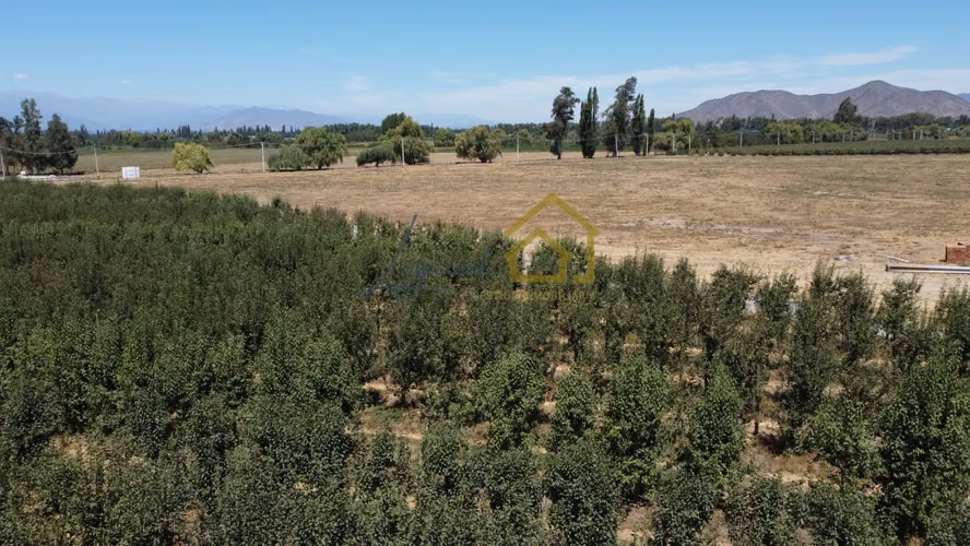 Venta de Parcelas Proyecto Los Cuatro Vientos
