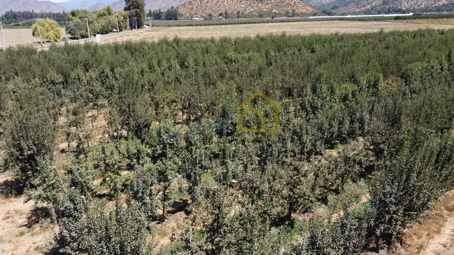 Venta de Parcelas Proyecto Los Cuatro Vientos