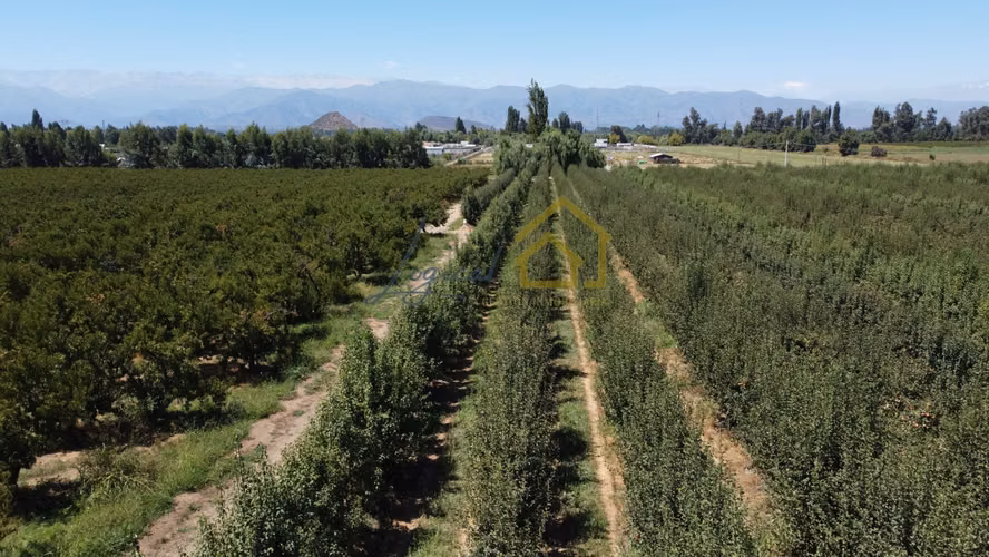 Venta de Parcelas Proyecto Los Cuatro Vientos