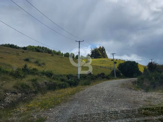 Parcela 5,000 m2 en condominio, junto al Río Negro