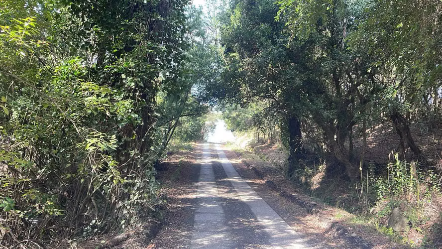 Venta Parcela Cam Villarrica Pucón a 5 min de villarrica