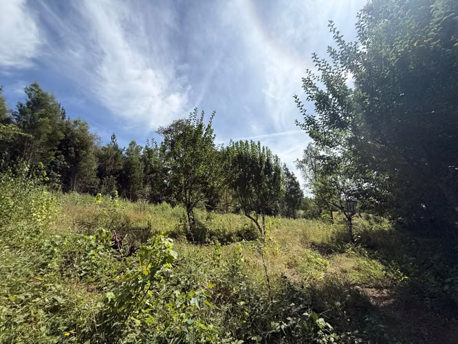 Venta Parcela Cam Villarrica Pucón a 5 min de villarrica