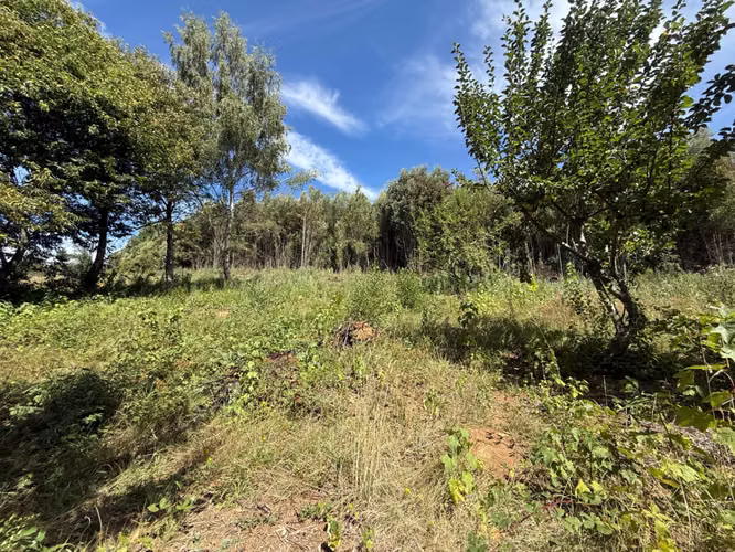 Venta Parcela Cam Villarrica Pucón a 5 min de villarrica