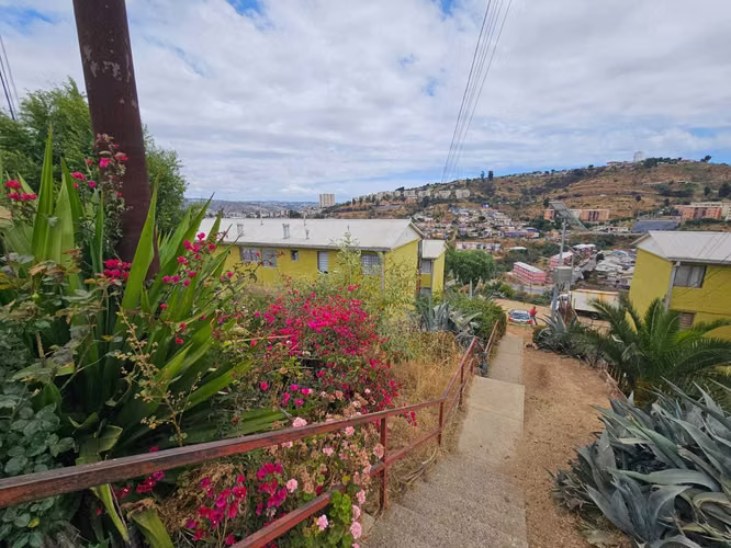 ARRIENDO DPTO EL OLIVAR  (139394)