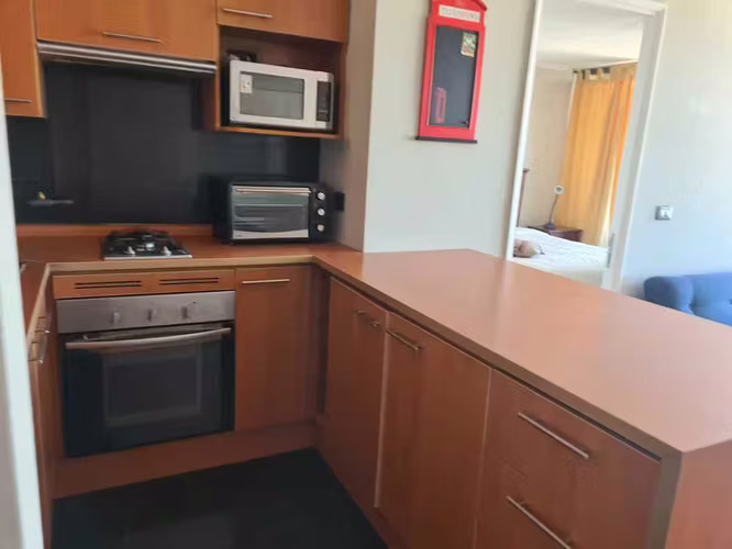 ARRIENDO DIARIO 1DORM  METRO MANUEL  MONTT (151397)