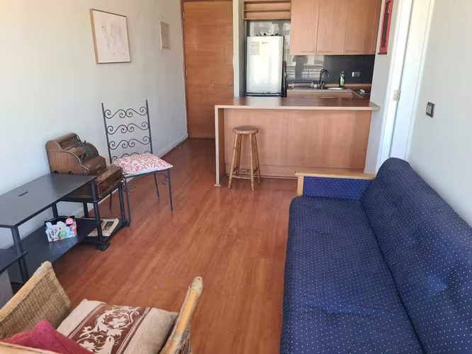 ARRIENDO DIARIO 1DORM  METRO MANUEL  MONTT (151397)